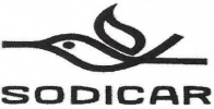 sav-sodicar
